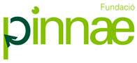 fundacio-pinnae.png